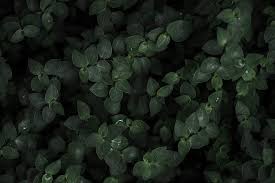 05/21/2020 test test